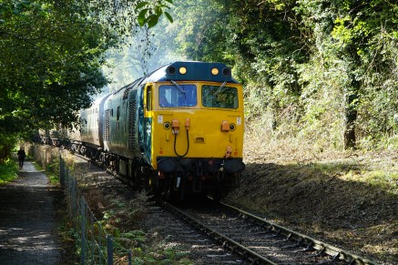 Slipping from sunlight into shade: a Class 50 - one of the great workhorses of the diesel era.